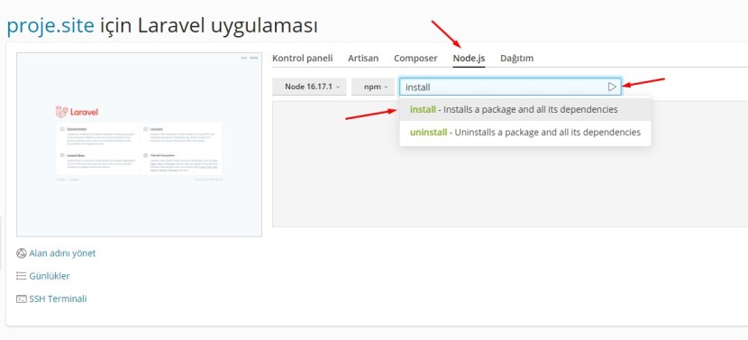 Laravel Npm Install Komutu